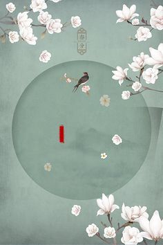 大象影视传媒ceo